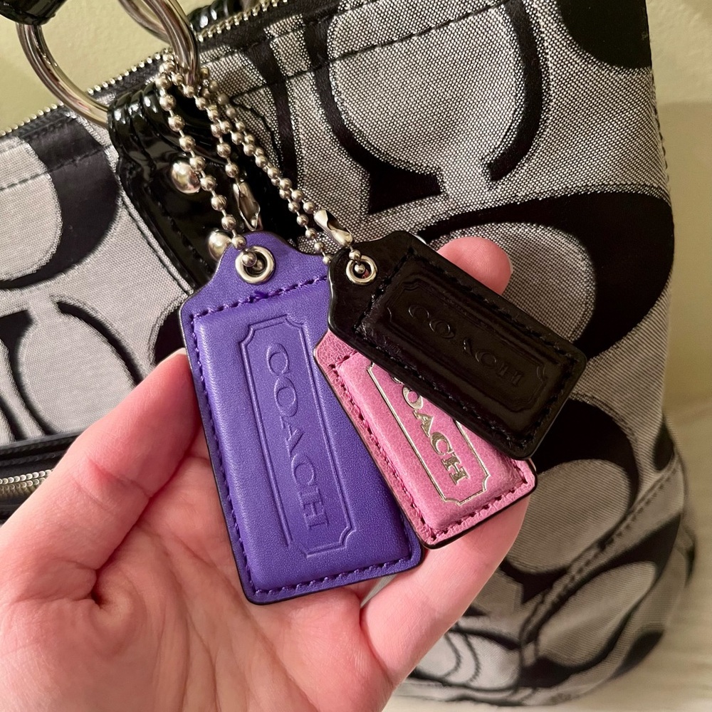 Coach Poppy Metallic Signature Tote Bag - Picture 3 of 7
